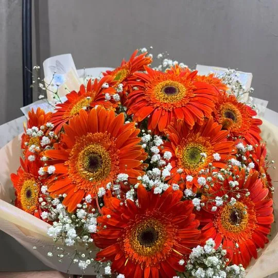 Ramo de 12 flores gerberas con isofilas y papel coreano